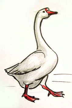 a drawing of a white duck with red feet