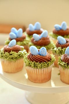 cupcakes decorated with blue and green frosting on a white cake platter