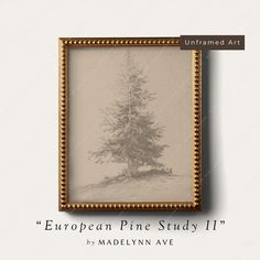 the european pine study ii by madelynn ave is featured in this book