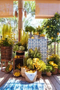 a bunch of plants that are sitting on a wooden floor in front of a window