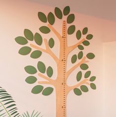 a wooden growth chart with green leaves and a ruler in front of a white wall