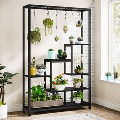 a shelf with plants on it next to a wall mounted planter and potted plants