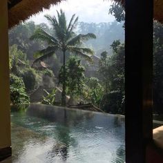 an outdoor swimming pool surrounded by lush green trees and mountains in the distance, as seen from inside a house