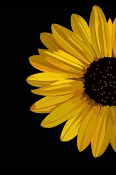 a large yellow sunflower on a black background