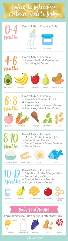 an info sheet showing the different foods that are in each section of the food chart