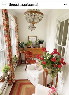 a living room filled with furniture and lots of plants on the windows sills