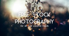 a blurry photo with the words free stock photography for all your creative needs