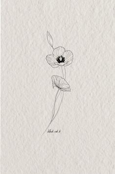 an ink drawing of two flowers on paper