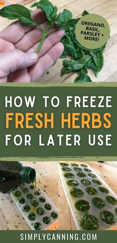 how to freeze fresh herbs for later use