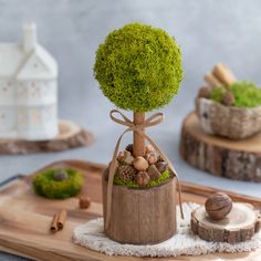 a small tree in a wooden pot with moss and pine cones on the table next to it