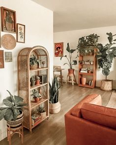 a living room filled with lots of plants next to a wall mounted book shelf and potted plants