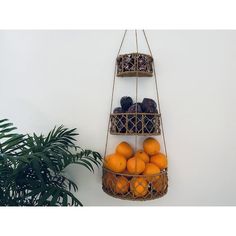 a hanging basket filled with oranges next to a potted plant on a wall