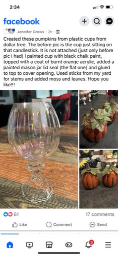 an instagram page with pumpkins and plants in glass vases on the table