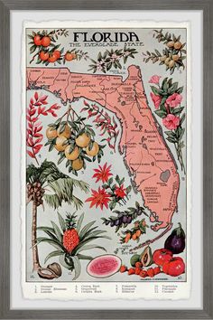 the florida state map is shown with tropical flowers and fruit on it's side