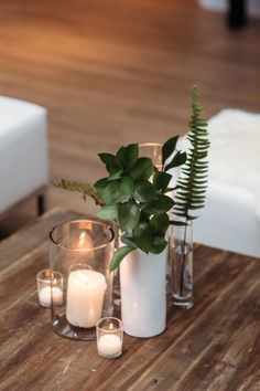 three candles and two vases with plants on a table