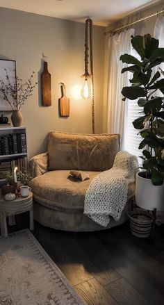 a living room filled with furniture and a large potted plant on top of a table