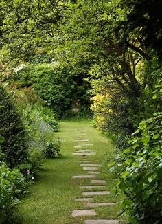 a stone path in the middle of a lush green garden