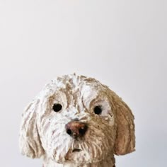 a dog statue made out of clay sitting in front of a white wall and looking at the camera