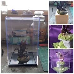 there are pictures of different things in the glass case, including plants and figurines