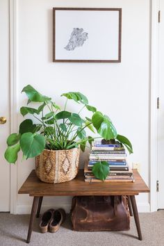 a potted plant sitting on top of a wooden table next to a pair of shoes