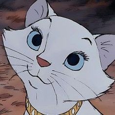 a white cat with blue eyes wearing a gold collar