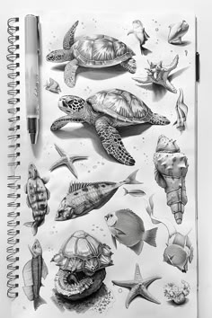 a notebook with drawings of sea animals and fish on it's cover, along with a pen