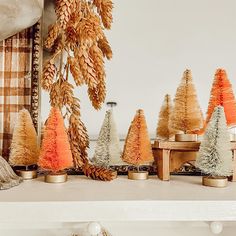 there are many small trees on the shelf in front of each other and one is orange