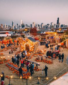 people are gathered around pumpkins on display in an open field with lights and buildings in the background