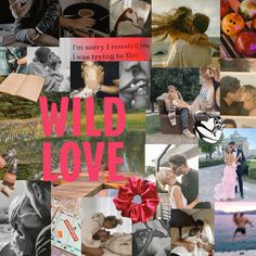 a collage of photos with the words wild love