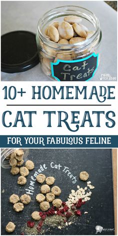 homemade cat treats for your fabulous feline