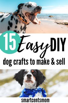 two dogs on the beach with text overlay that reads 15 easy diy dog crafts to make and sell