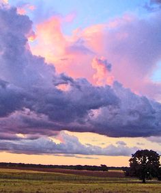 a lone tree stands in the middle of a field under a colorful sky with clouds