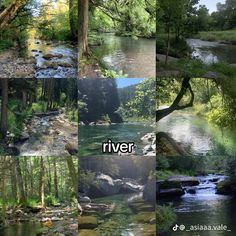 the river is surrounded by many different trees and rocks, along with some water running through it