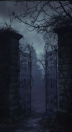 an open gate with vines on it in the dark