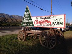 an old fashioned christmas tree farm sign sitting on the side of a road with mountains in the background