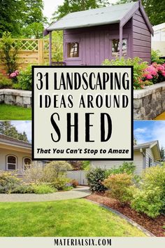 landscaping ideas around the shed that you can't stop to amaze with text overlay reading 31 landscaping ideas around the shed that you can't stop to amaze