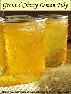 three jars filled with liquid sitting on top of a table