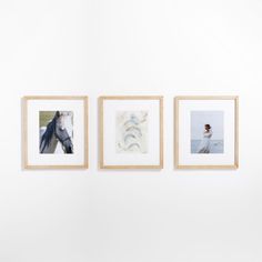 three framed pictures hang on the wall above two horses and a woman in a white dress