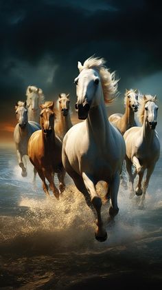 a group of horses running through the water