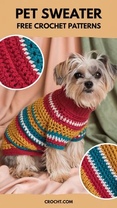 a small dog wearing a sweater made from crochet yarns with the words pet sweater free crochet patterns