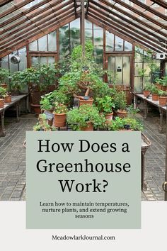 victorian greenhouse how do greenhouses work Flat Roof Greenhouse, How To Start A Greenhouse Business, Greenhouse Interiors Layout, Greenhouse Sanctuary, Pretty Greenhouse, Green House Gases, Greenhouse Crops, Greenhouse Tips, Greenhouse Planting