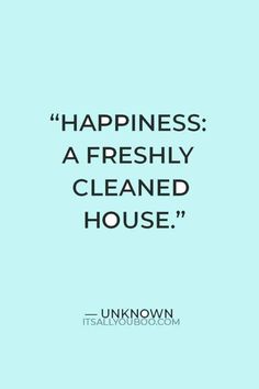 a blue background with the words happiness, a freshly cleaned house and it's unknown