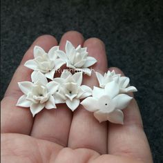 small white flowers are in the palm of someone's hand