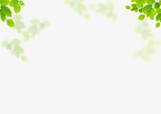 green leaves on white background with space for your text or image to be added in the bottom right corner