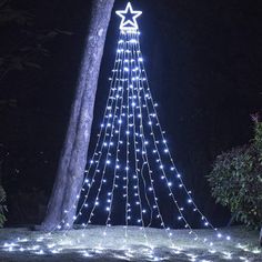 a lighted christmas tree in the middle of a forest