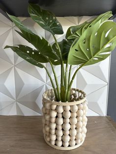 a potted plant sitting on top of a wooden table