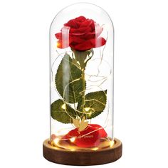 a red rose in a glass dome on a wooden base with lights around the base