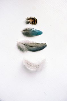 three feathers arranged in the shape of a face