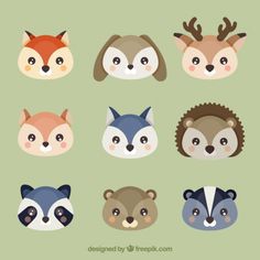 six different types of animals with faces