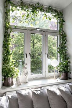 a living room filled with furniture and lots of greenery on the window sill